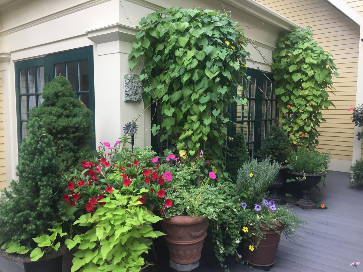 Mary Prentiss Inn Cambridge Eksteriør billede